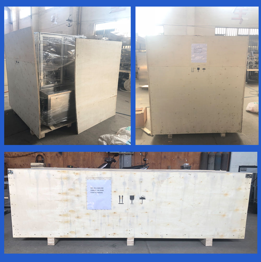 Varm försäljning Automatisk flaska 2 munstycksfyllningsmaskin örtblomma eterisk olja injektionsflaska Fyllning Capping Machine